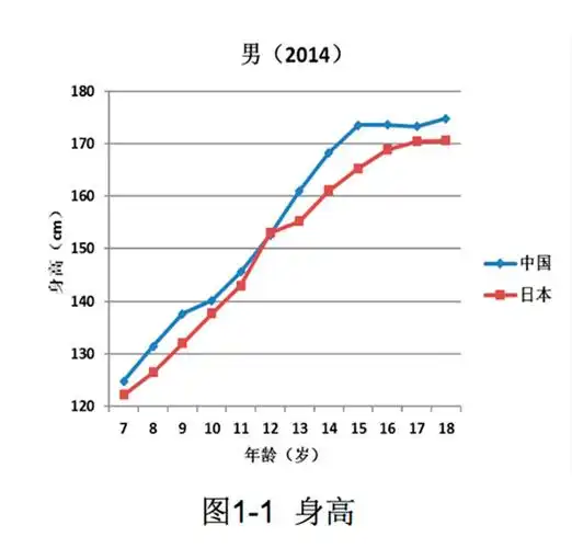 研究|中国学生身高,体重等体格指标,几乎均显著高于日本(组图)