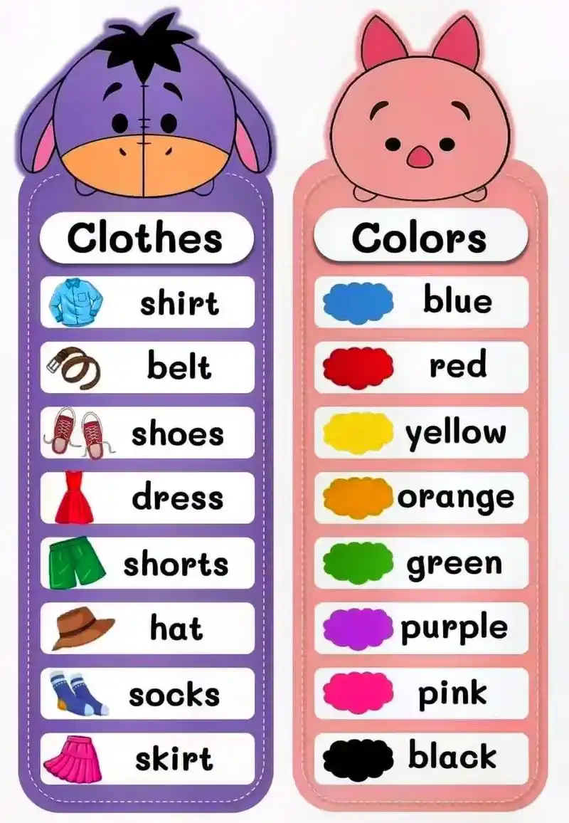 衣服类 颜色类 动物类 天气类 地点 职业#主题类英语单词  - 抖音