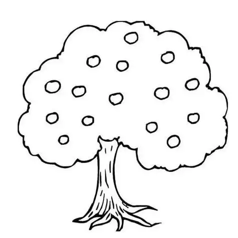 秋天的树简笔画画法儿童