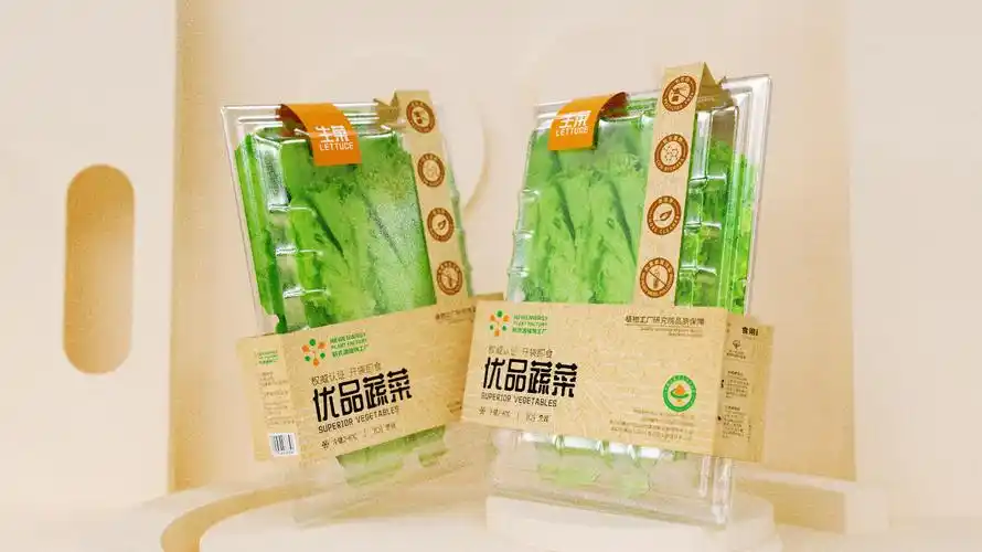 新农源植物工厂品牌蔬菜包装设计