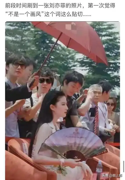 网友:不漂亮怎么当明星…|美女|狗头|刘亦菲|林更新_网易订阅