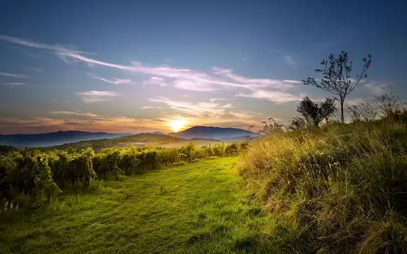 壁纸 自然风光,早晨,山,日出,草 2560x1600 hd 高清壁纸, 图片, 照片