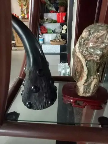 我在古玩市场买的苏门答腊犀牛角,请大师看看真假