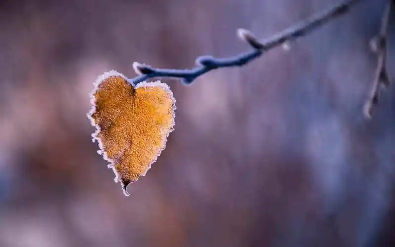 2020最新版微信走心的一段唯美语录,句句说透人心