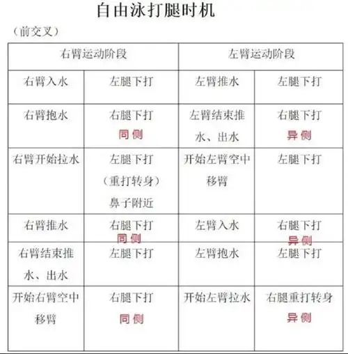 自由泳右手入水左腿重打上