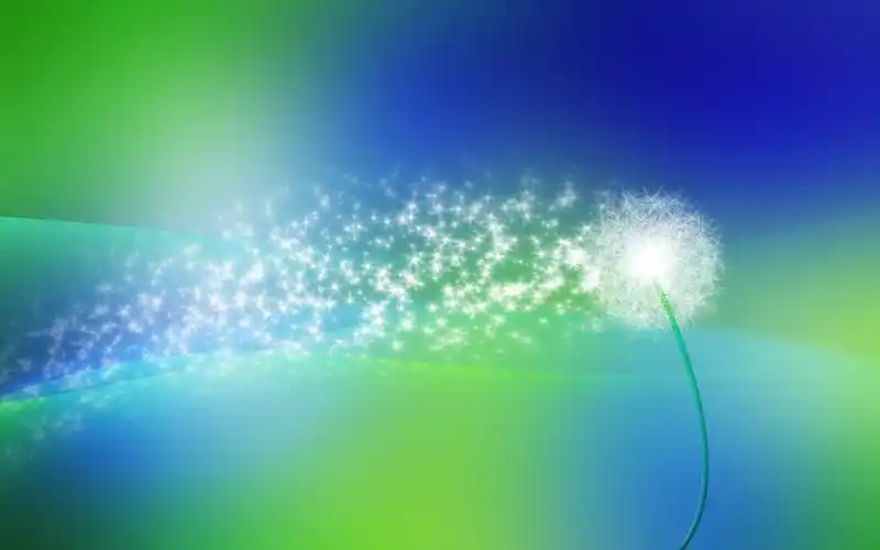 唯美意境蒲公英的梦壁纸图片