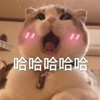 哈哈哈大笑 - 斗图表情包 - 爱逗图