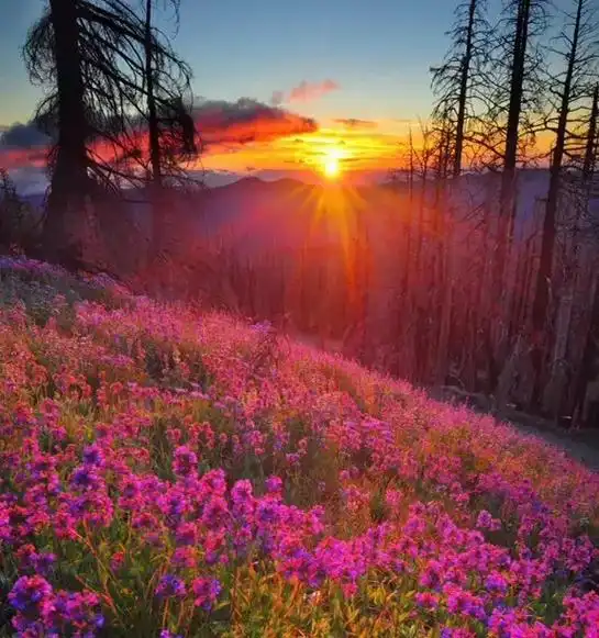 唯美风景.#原创 #唯美风景 #壁纸图片  - 抖音