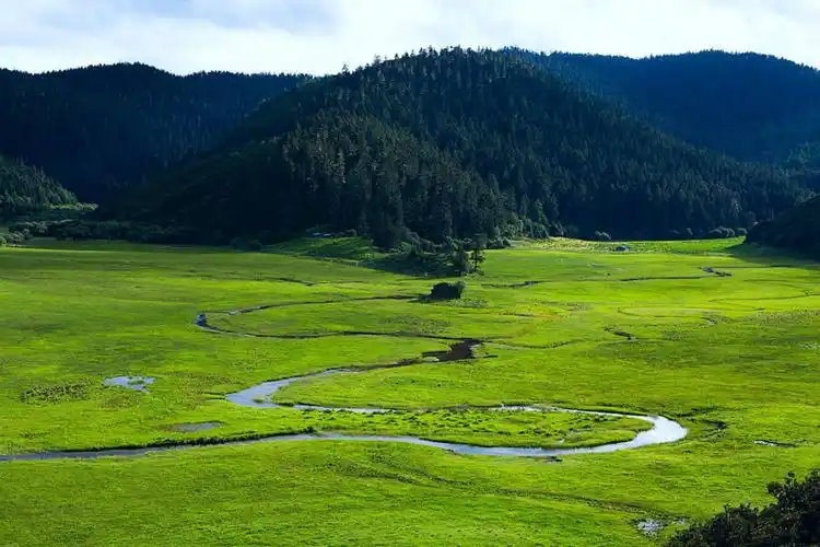 弥里塘草甸_云南省林业和草原局
