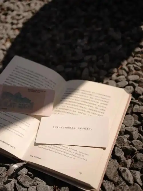 王笛:从大视野到小切口,走进中国城市内部