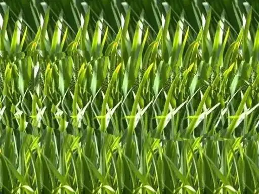 裸眼3d与三维立体图-贵州启晟云网络科技有限公司