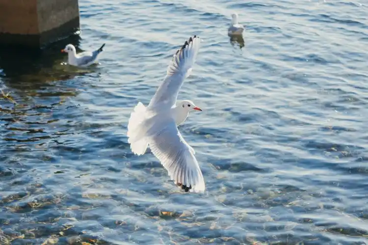 三十岁的半自由职业者,带着新生活憧憬的2021年edc是什么样的__财经