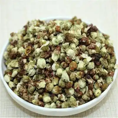 野生绿梅花批发价格绿梅花实物图片绿梅花