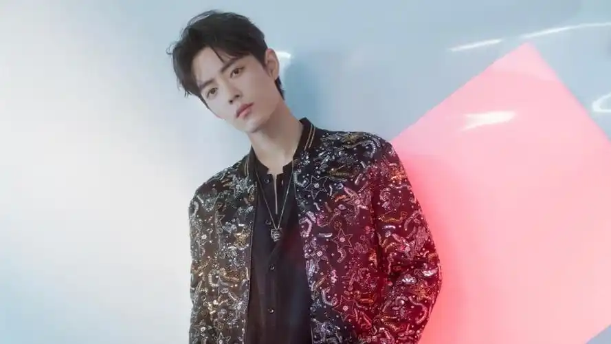 霸气帅哥肖战时尚写真,高清图片 - 壁纸更好