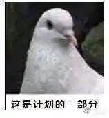 这是计划的一部分表情包 - 表情图