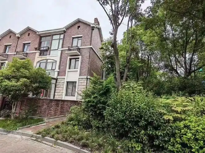 泰晤士旁高档别墅区精装东边套