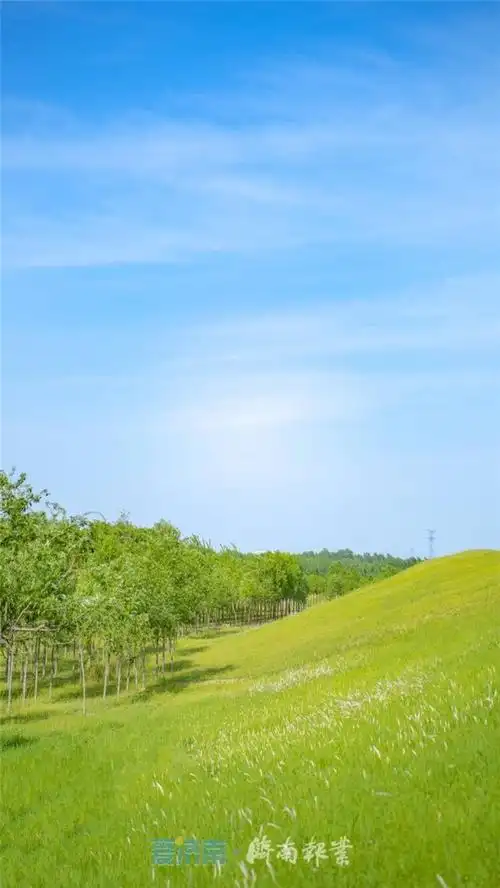 600_1066竖版 竖屏