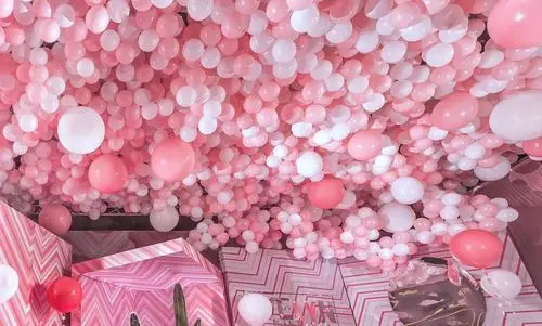 【 撒狗粮有哪些花式玩儿法 】a云庭变身"pink land"全系粉色的鲜花