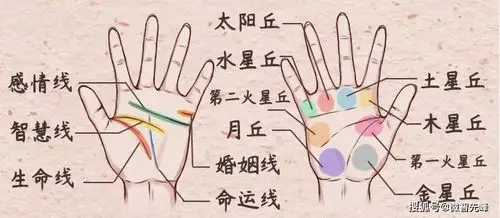 别看一个人的手掌仅区区方寸之地,但是富贵贫贱,智慧贤愚,夭寿吉凶