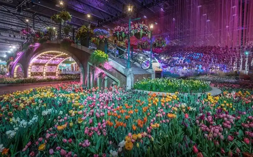 羡慕你,家门口就能看遍地中海风景_花展之
