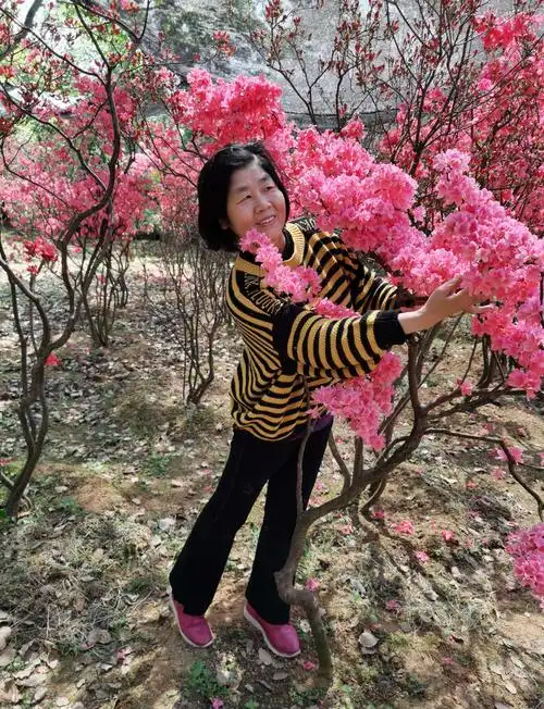 洗刷刷的美篇杜鹃红中乐逍遥