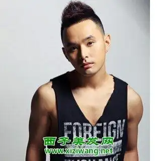 男士经典鲨鱼头发型图片 想变个性型男(3)