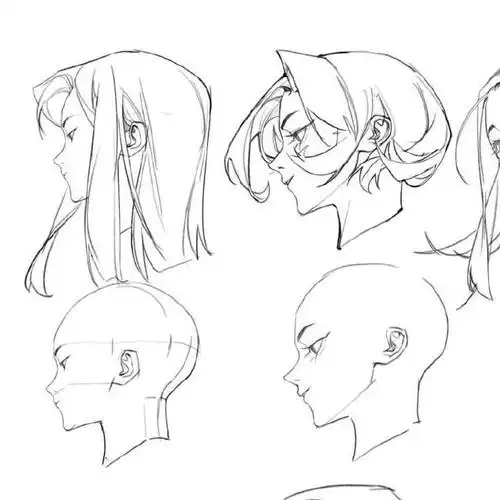 一组发型参考素材    动漫绘画中发型塑造角色形象的关键之一.
