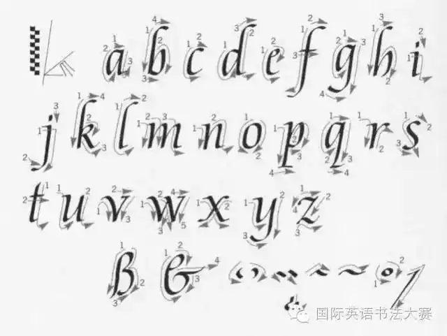 英文字体练习意大利体