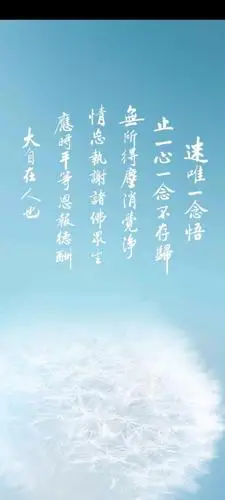 壁纸|佛系壁纸而已