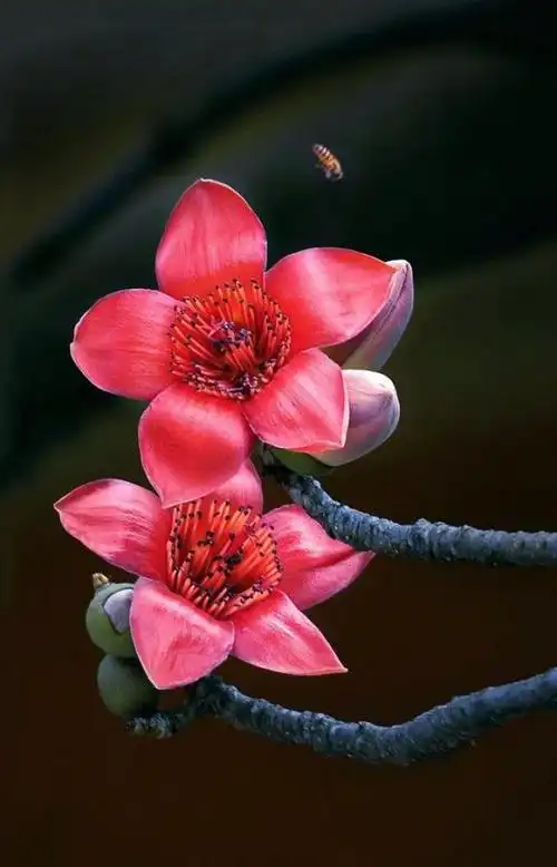 700_1089竖版 竖屏