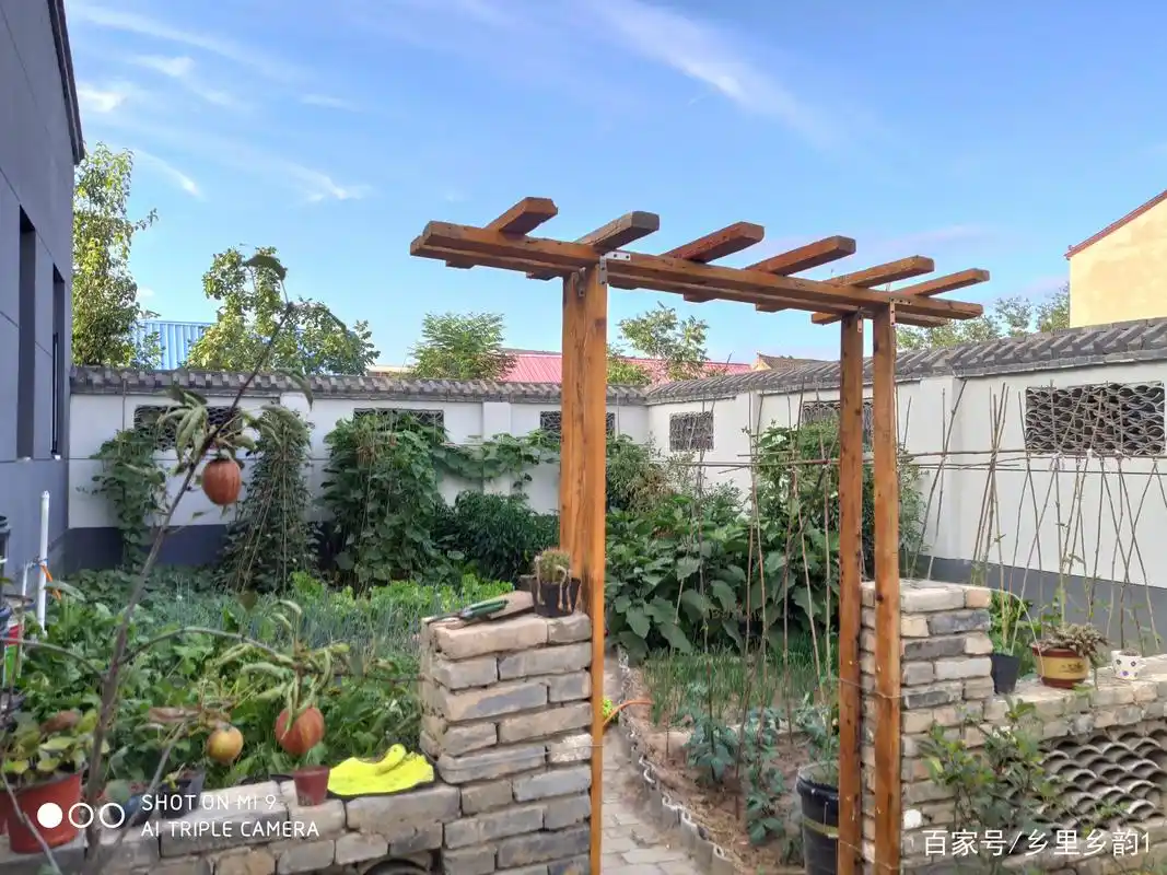 分享一下自己的庭院小菜园,70平方一年吃菜不用买,值得收藏