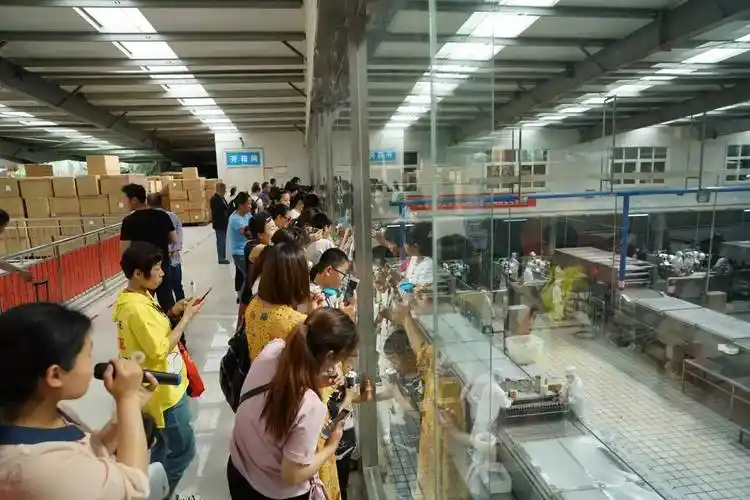 精彩回顾小记者探秘雪汇工厂了解雪糕的制作过程