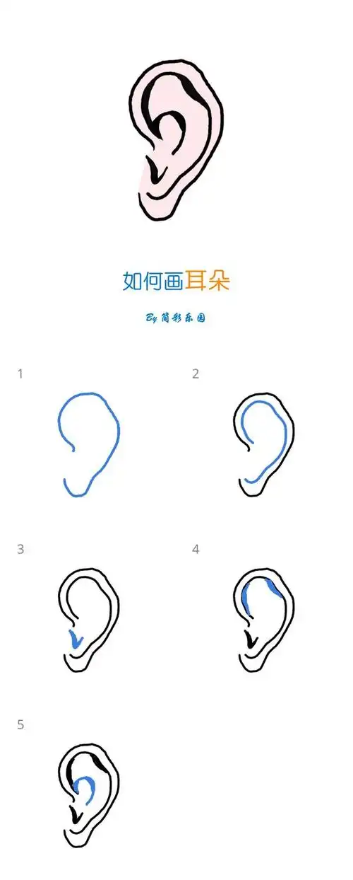 耳朵的简单画法 - 一分钟教你学会画耳朵简笔画