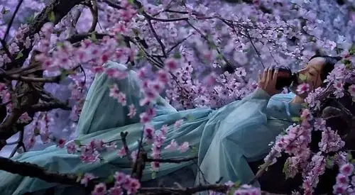 四海八荒第一绝色白浅姑姑,可谓是爱喝酒的很啊