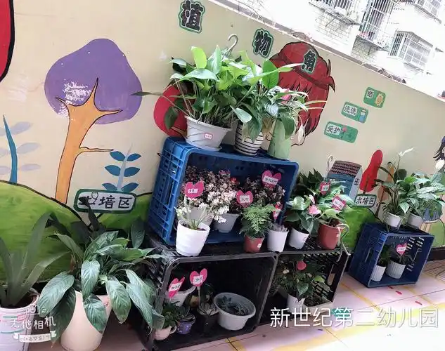 新世纪第二幼儿园快乐小班环创比赛作品