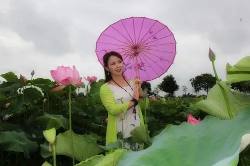 走在莲花间,心随莲花开.