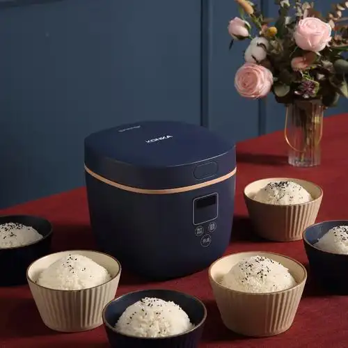 电饭煲康佳konkakrcrs1迷你小电电饭锅2l容量oother其他电饭煲