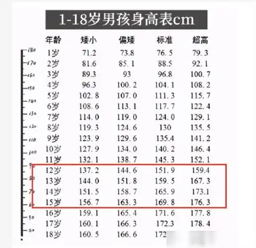 1到18岁身高表出炉初中男生压力大近1米7才算达标