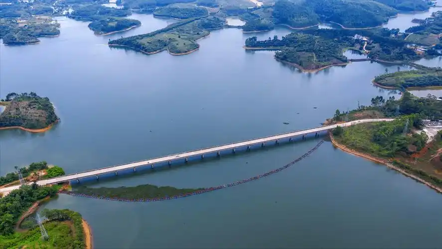 鹤地水库的防线速生桉被局部禁种黑水危害有多大