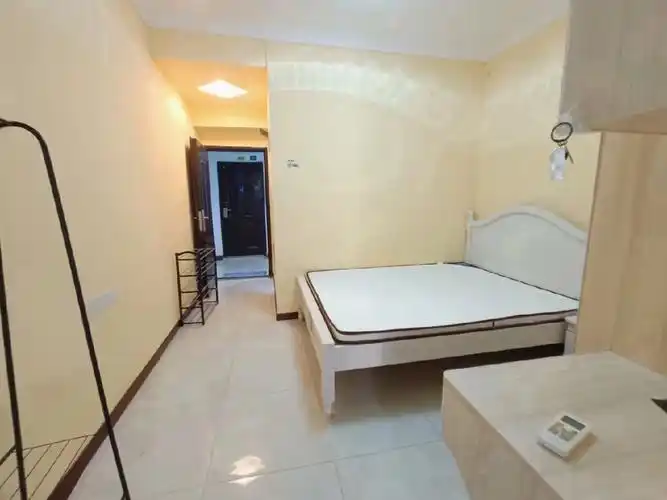 光谷青年城一室一厅一卫