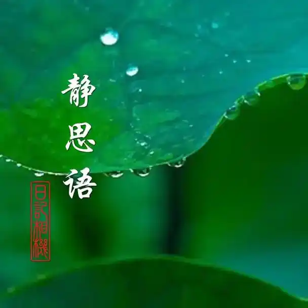 内心平静快乐,头脑清醒,考虑事情就会清楚周全,说话就会得体. - 抖音