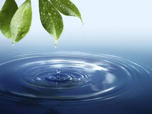 水润万物🍃 - 美篇