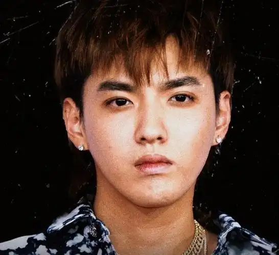 早在2016年,吴亦凡的资产就已超过2亿,身价不菲.