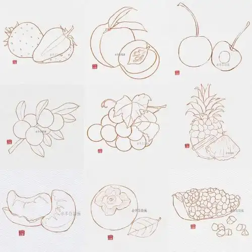 多种水果线稿