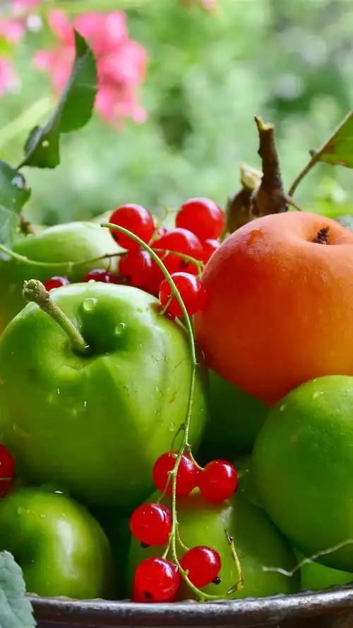 壁纸 青苹果,杏子,红醋栗,水果 5120x2880 uhd 5k 高清壁纸, 图片