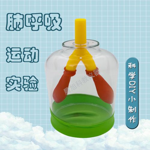 膈肌运动模拟器小学科学实验材料四年级上人体肺呼吸运动模型