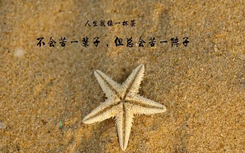 生活本来就不容易,又何必强行难为自己 - 简书