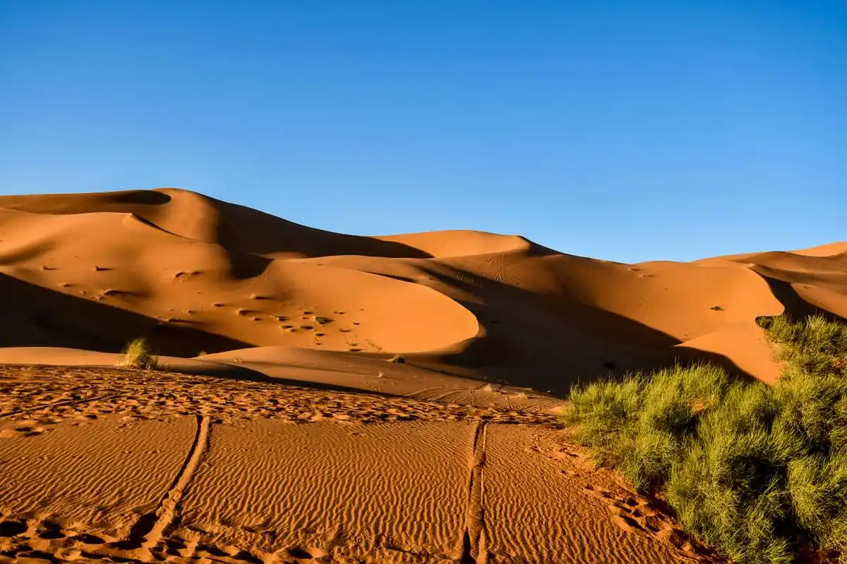 [原文:腾格里沙漠旅游,壮丽的画.