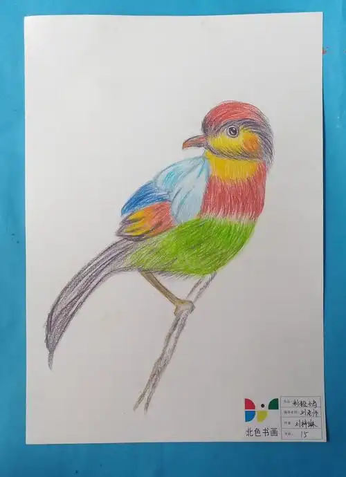 其它 彩色铅笔画——美丽的小鸟 写美篇        画这只彩色小鸟要解决