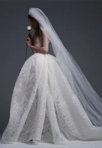 vera wang 2017秋冬婚纱系列型录
